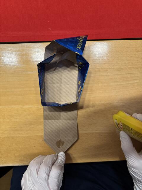 Foto: Heide Böllinger aus Bad Friedrichshall