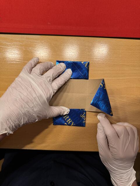 Foto: Heide Böllinger aus Bad Friedrichshall