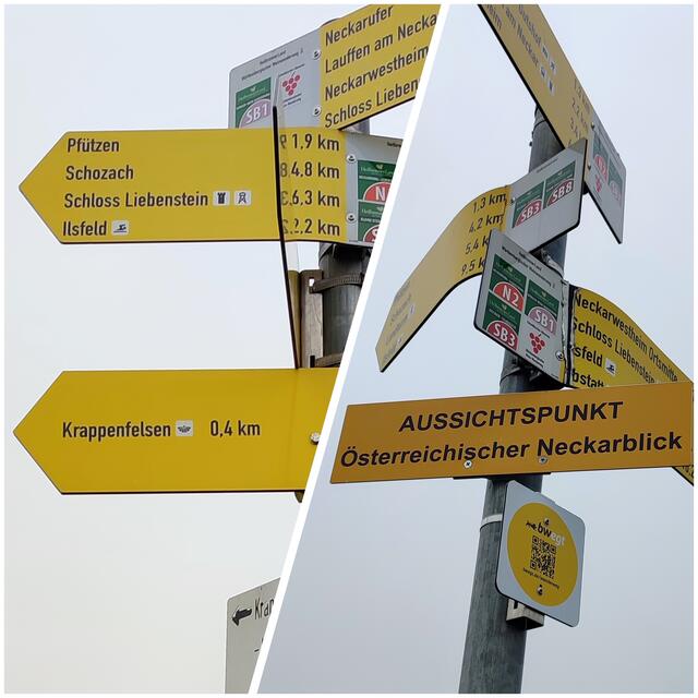 Schilderwald | Foto: Aurelia Kling