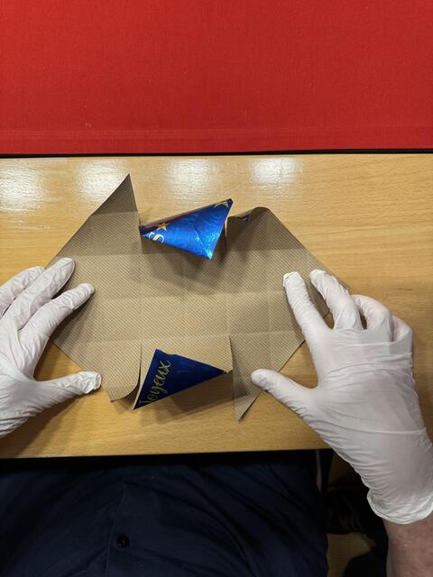 Foto: Heide Böllinger aus Bad Friedrichshall