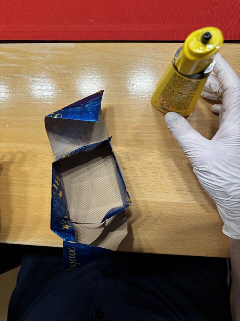 Foto: Heide Böllinger aus Bad Friedrichshall