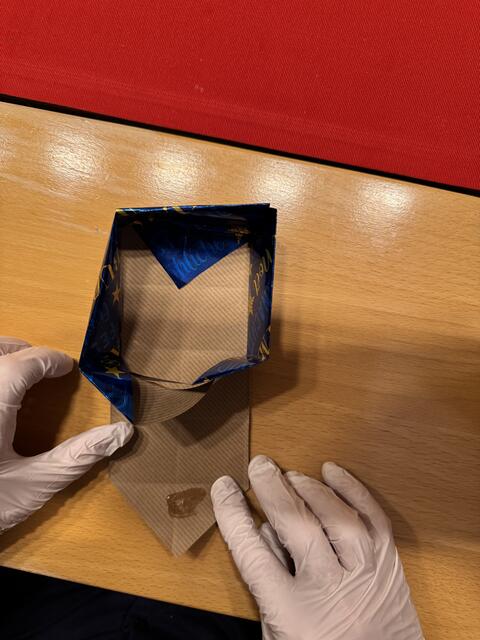 Foto: Heide Böllinger aus Bad Friedrichshall