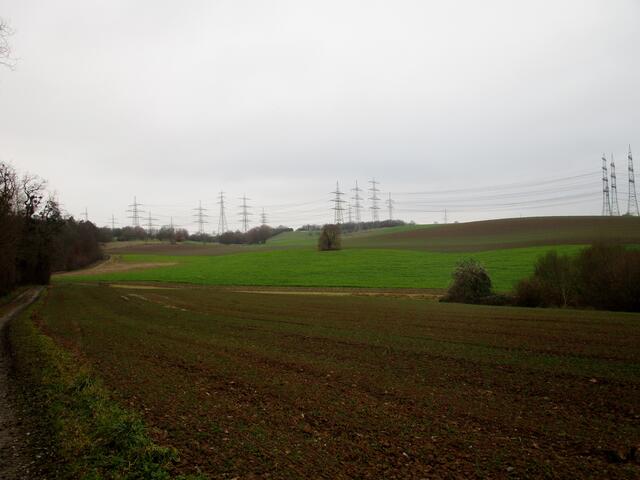 Die Gemeinde Neckarwestheim ließ zur Erinnerung an den Itzinger Hof einen Baum pflanzen. Der in der Mitte des Bildes ist aber nicht zugänglich...  | Foto: Wandern Gaby Erich