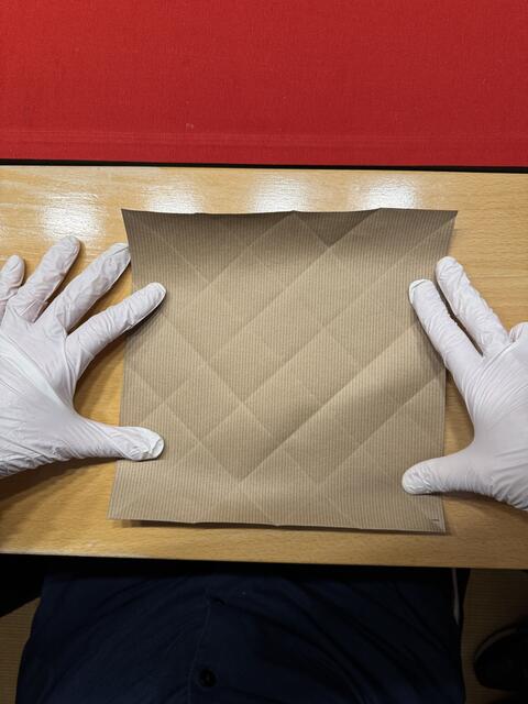 Foto: Heide Böllinger aus Bad Friedrichshall