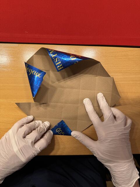 Foto: Heide Böllinger aus Bad Friedrichshall