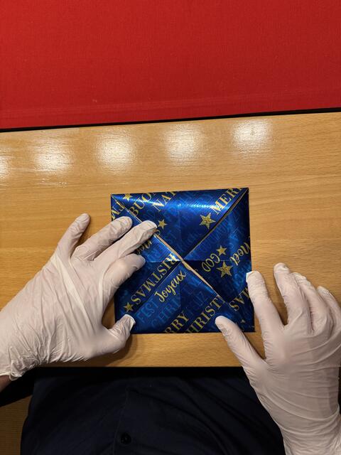 Foto: Heide Böllinger aus Bad Friedrichshall