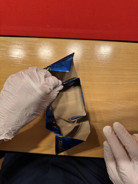 Foto: Heide Böllinger aus Bad Friedrichshall