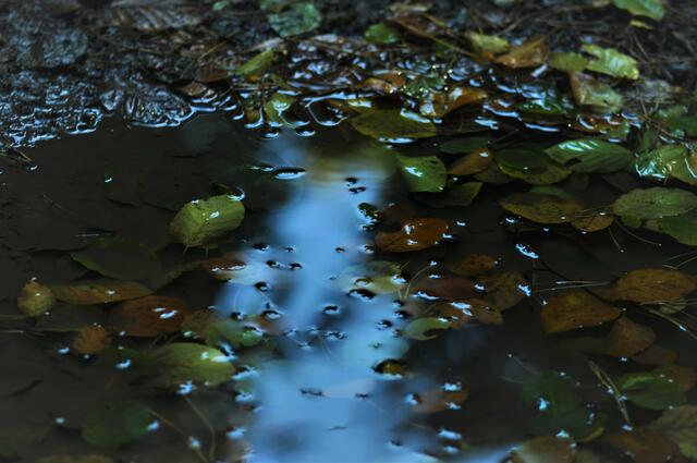 Pfütze mit Licht | Foto: JuKo