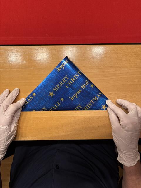 Foto: Heide Böllinger aus Bad Friedrichshall