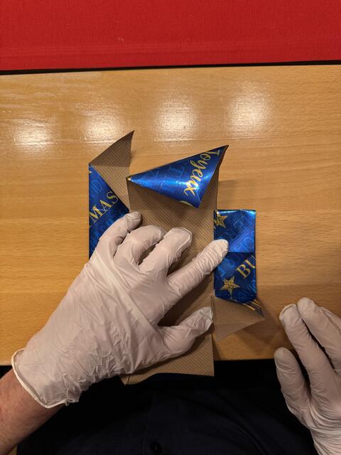 Foto: Heide Böllinger aus Bad Friedrichshall