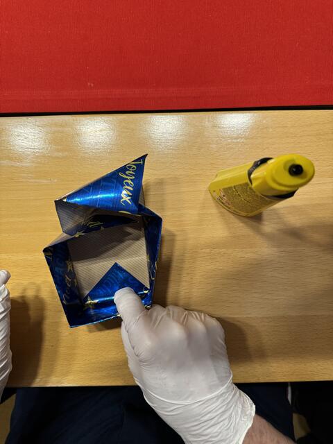 Foto: Heide Böllinger aus Bad Friedrichshall