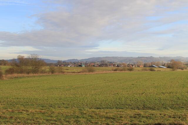 Ausblick | Foto: Ralf Röser