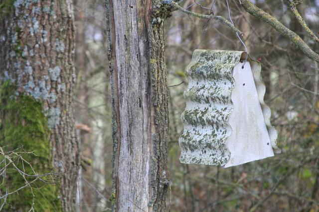 und wieder eins | Foto: Ralf Röser