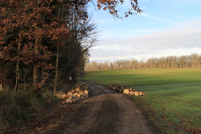 und weiter | Foto: Ralf Röser