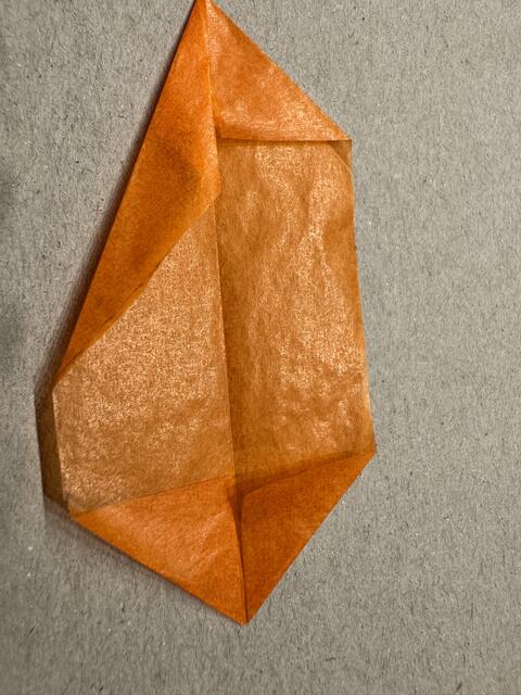 Foto: Heide Böllinger aus Bad Friedrichshall