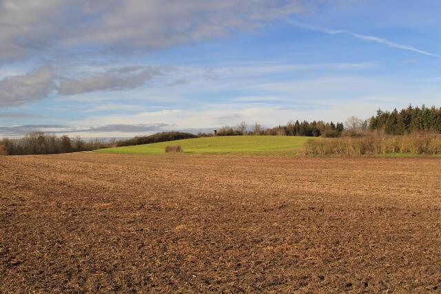 los geht's | Foto: Ralf Röser