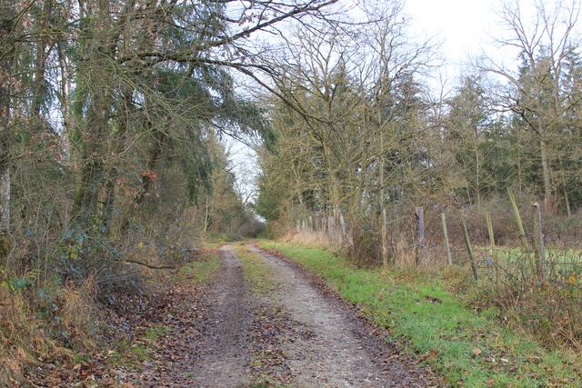 und weiter | Foto: Ralf Röser