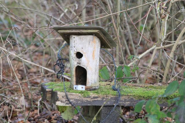 schee | Foto: Ralf Röser