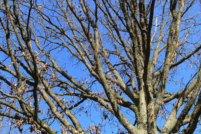 oben | Foto: Ralf Röser