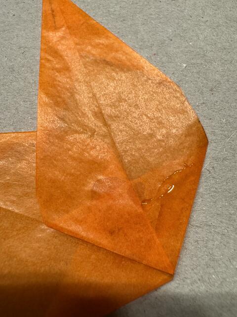 Foto: Heide Böllinger aus Bad Friedrichshall