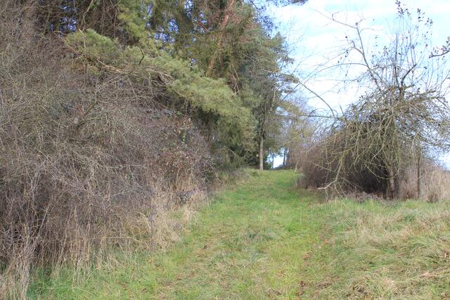 da hoch | Foto: Ralf Röser