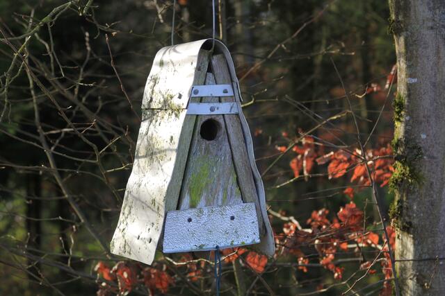 und noch eins | Foto: Ralf Röser