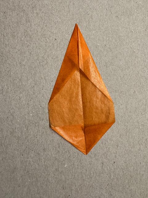 Foto: Heide Böllinger aus Bad Friedrichshall