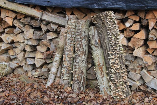 gut abgelagert | Foto: Ralf Röser