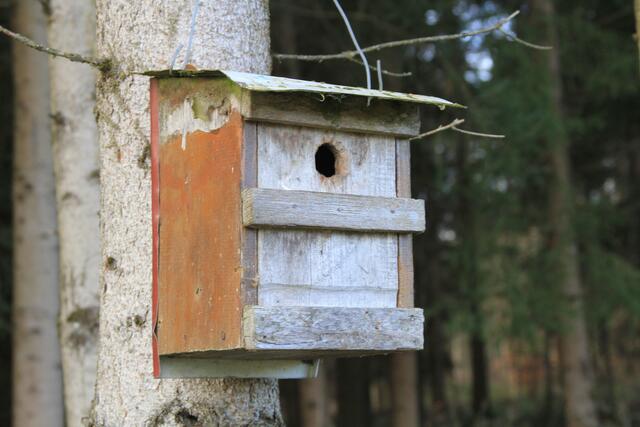 und wieder eins | Foto: Ralf Röser