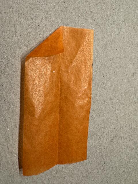 Foto: Heide Böllinger aus Bad Friedrichshall