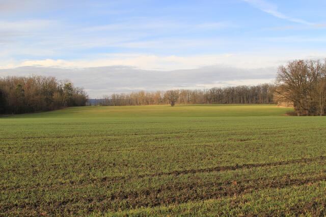 Ausblick | Foto: Ralf Röser