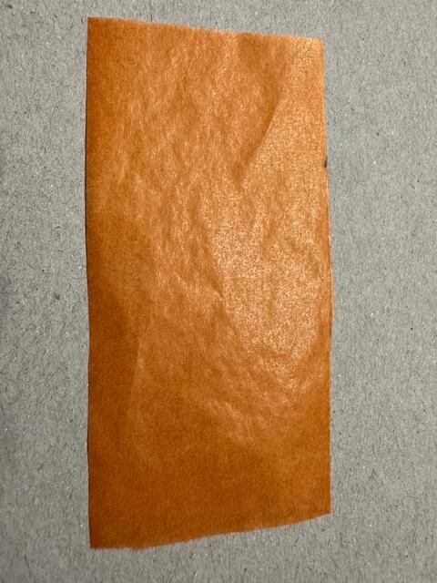 Foto: Heide Böllinger aus Bad Friedrichshall