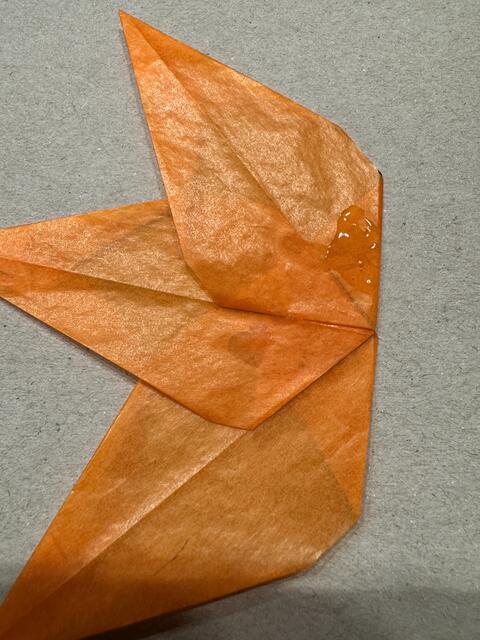 Foto: Heide Böllinger aus Bad Friedrichshall