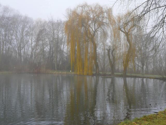 Nebel am Eichbottsee | Foto: KHW