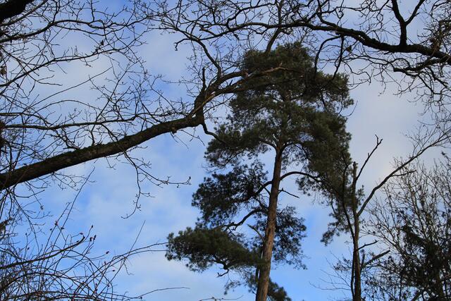 oben | Foto: Ralf Röser
