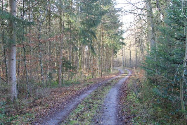 da lang | Foto: Ralf Röser