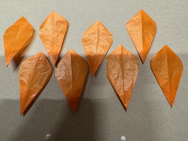 Foto: Heide Böllinger aus Bad Friedrichshall