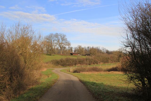 vorne links weiter | Foto: Ralf Röser