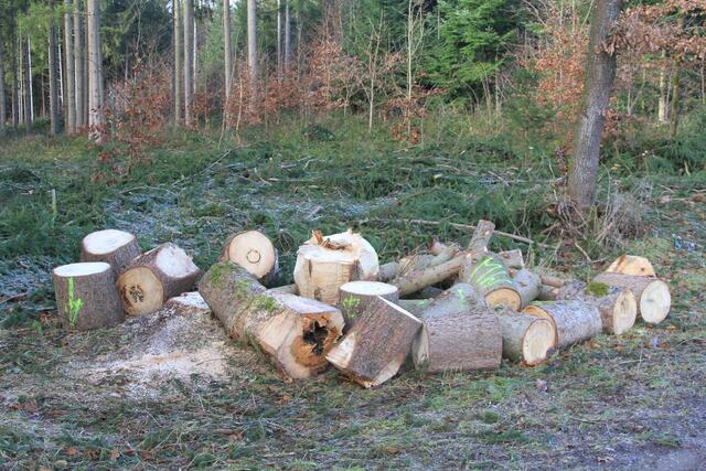 da war jemand fleißig | Foto: Ralf Röser