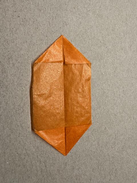 Foto: Heide Böllinger aus Bad Friedrichshall