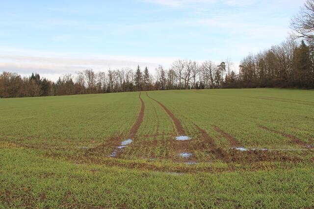 cool | Foto: Ralf Röser