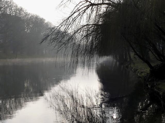 Nebel am Neckar in Heilbronn | Foto: KHW
