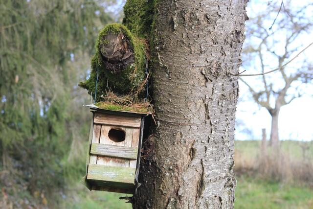 hier gab es sehr viele Vogelhäusle | Foto: Ralf Röser