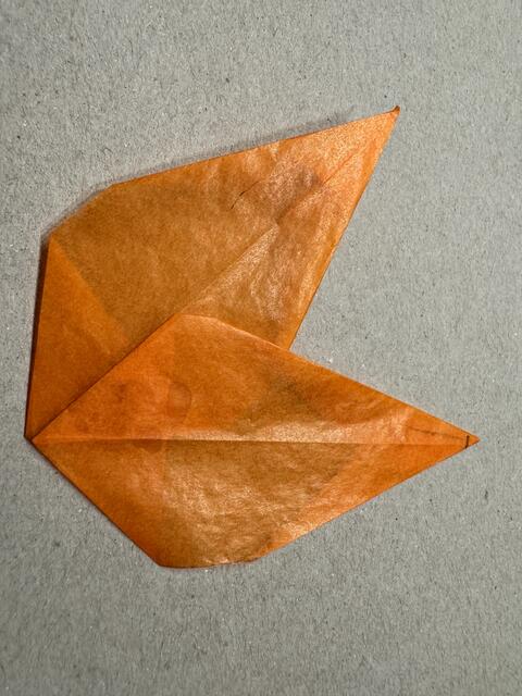 Foto: Heide Böllinger aus Bad Friedrichshall