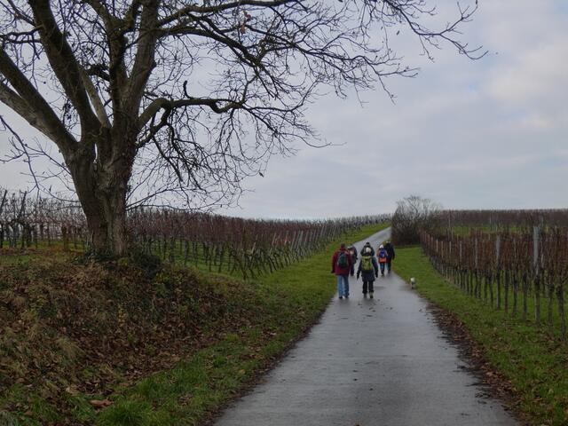 Der Himmel ist noch bedeckt, aber es ist schon ein bisschen blau zu sehen.  | Foto: sigischlottke