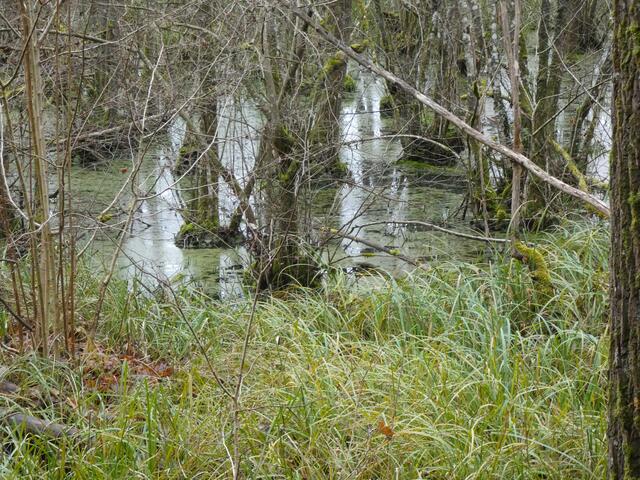 Das Wasser rückt näher und wir kommen zum Ende der Wildnis.  | Foto: sigischlottke