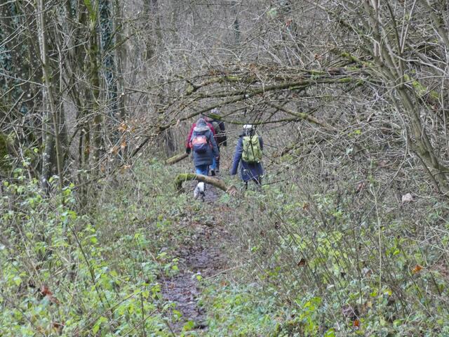Hier beginnt der wilde Pfad.  | Foto: sigischlottke