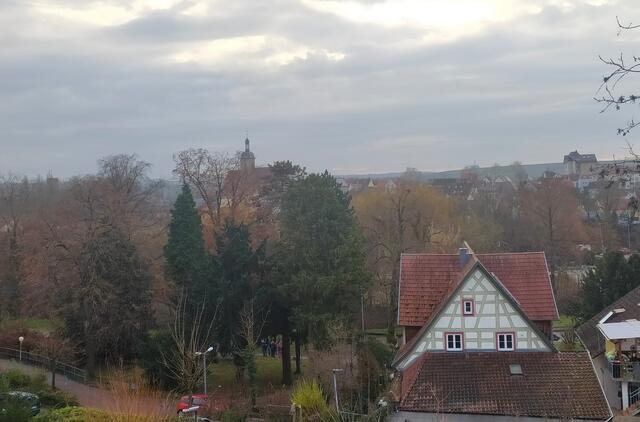 Ausblick auf Lauffen. Im Hintergrund die Regiswindiskirche.  | Foto: sigischlottke