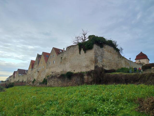 Stadtmauer und Aufstieg zum Städtle | Foto: Aurelia Kling