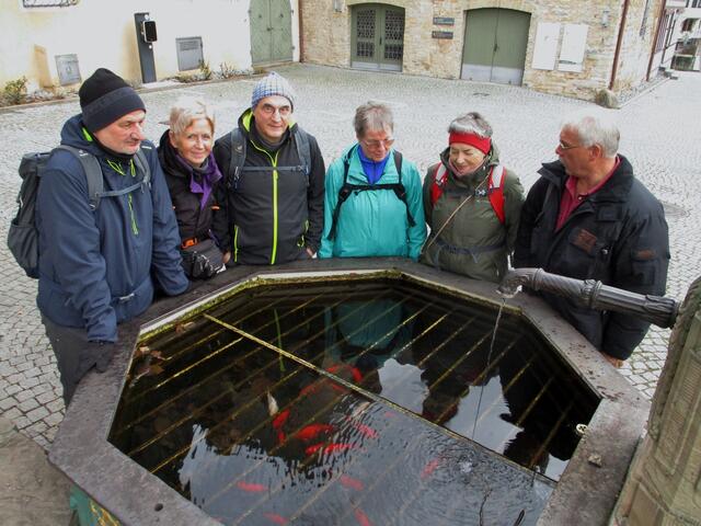 Insel Lauffen | Foto: Wandern Gaby Erich